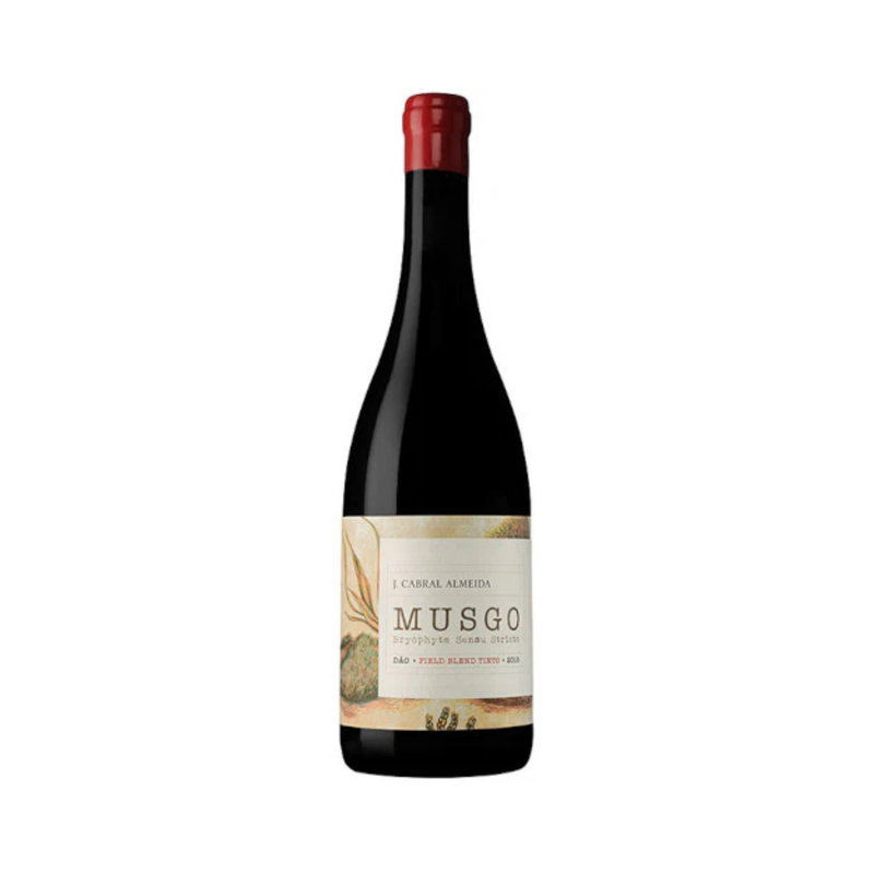 J. Cabral Almeida Musgo Reserva Tinto
